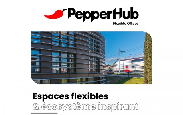 PepperHub flyer
